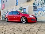 Volkswagen Golf 5 Edition 30 GTI - Volkswagen Golf: GTI Edition 30