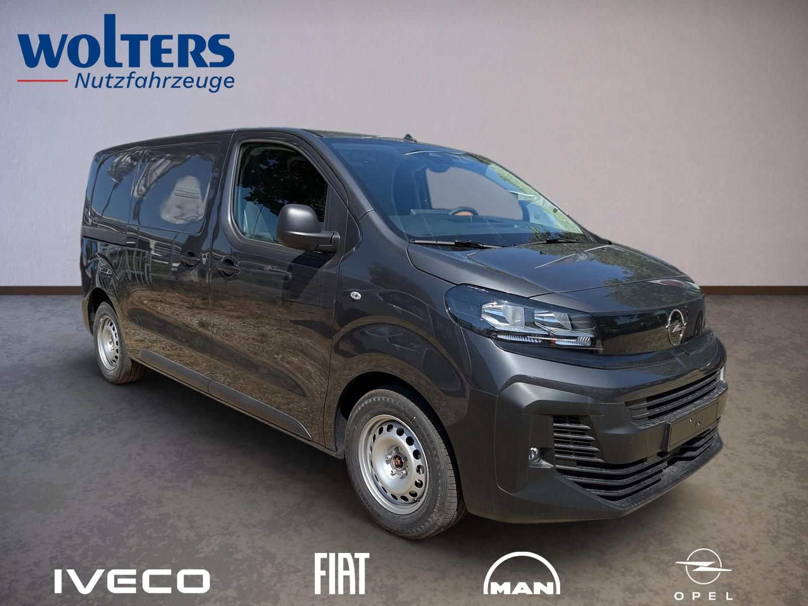 Fahrzeugabbildung Opel Vivaro M Kastenwagen 120 MT6