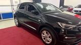 Opel Grandland (X) Business Edition - Opel Grandland (X) Gebrauchtwagen in Hamburg