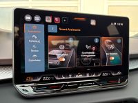 Cupra Terramar VZ 2.0 TSI DSG 4Drive 5J GAR *AKTION* bei Autohaus Landmann & Maier OHG