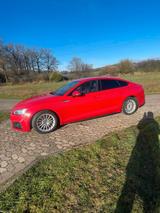 Audi A5 3.0 TDI tiptronic quattro Sportback  - Audi A5 mit Diesel-Antrieb: Limousine, 3.0