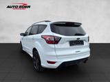 Ford Kuga ST-Line Sportpaket Bluetooth Navi Klima - Ford: Sport