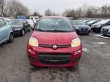Fiat Panda Young EURO 6 - Fiat Panda Young mit Benzin-Antrieb