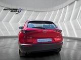 Mazda CX-30 Selection AWD ACC Spur Kamera HeadUp Apple - Mazda CX-3: Awd