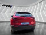 Mazda CX-30 Selection AWD ACC Spur Kamera HeadUp Apple - Mazda mit Benzin-Antrieb