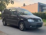 Volkswagen Caddy Life EcoFuel klima Alufelgen - Volkswagen Caddy: Alufelgen