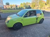 Volkswagen Lupo 1.0 BASIS Basis - Volkswagen Lupo: Grün