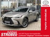 Lexus NX 350h Executive Line*inkl. WR*360° Kamera* - silberne Lexus NX 350h