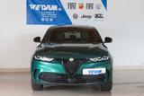 Alfa Romeo Tonale Veloce 1.5 VGT 160PS 48V Hybrid - Alfa Romeo: Grün