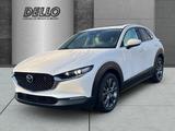 Mazda CX-30 Takumi Allrad 2.0L e-SKYACTIV X HUD El. Pa - Mazda CX-30 Takumi mit Benzin-Antrieb