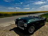 Austin Healey 100M - BN1 - aus 1953 mit Benzin-Antrieb: Cabrio