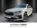 Skoda Scala Tour 1,0 TSI 85 kW DSG - Skoda Scala: Automatik