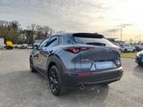 Mazda CX-30 2.5 140PS AT Homura LED - Mazda CX-30 Tageszulassungen