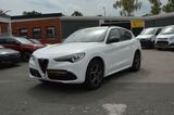 Alfa Romeo Stelvio 2.0 Turbo NAVI"PDC"R/KAM"LEDER"MEM"SzHz - Alfa Romeo in Nürnberg