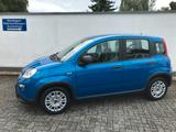 Fiat Panda MY24 1.0 GSE Hybrid Klimaanlage - Fiat Panda Gebrauchtwagen in Aachen