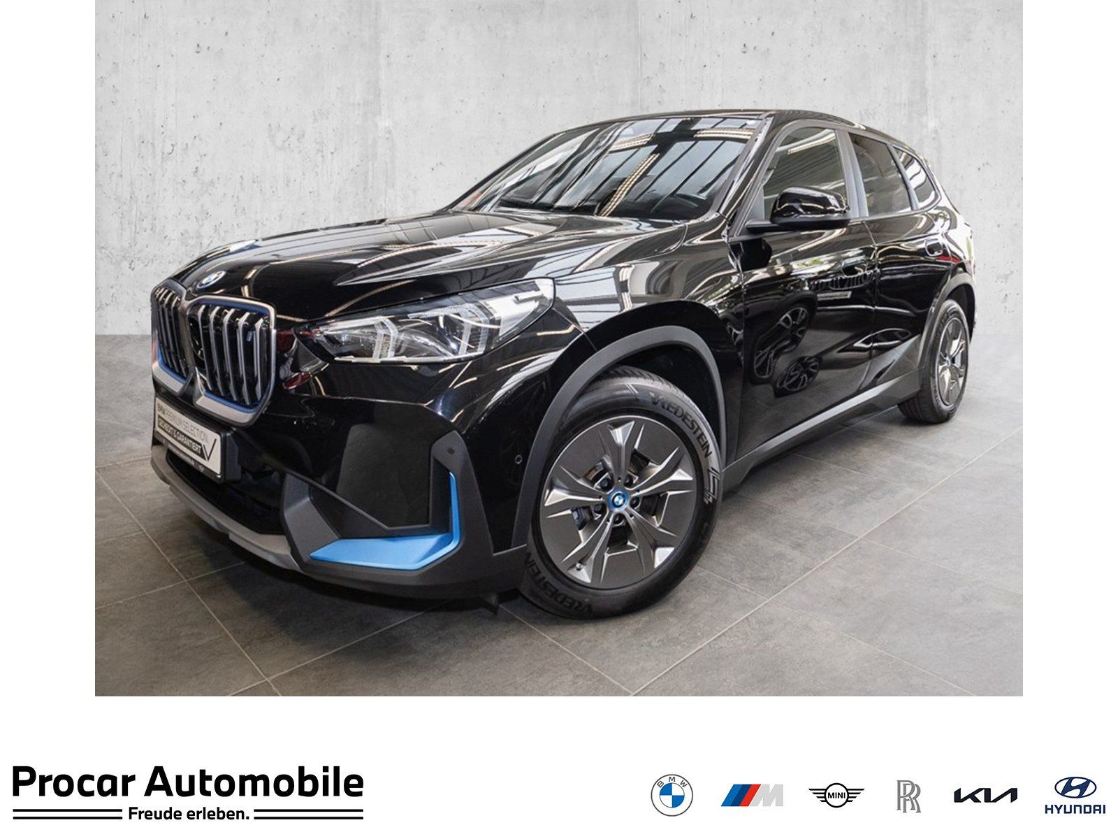 BMW iX1 xDrive30 PANO RFK NAVI Standh. LED PDC V H foto 1