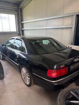 Audi S8 SCHALTER - Audi S8 aus 2000