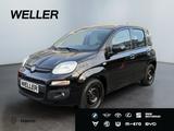 Fiat Panda 1.2 Lounge *hzb Fronts*SHZ*PDC hi*DAB*Klim - Fiat Panda: 1.1