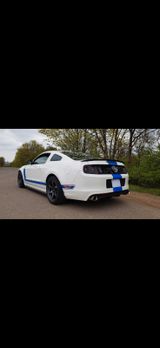 Ford Mustang Boss302 - Ford Mustang: 302