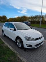 Volkswagen Golf 1.4 TSI 90kW 122 PS BMT CUP  - Volkswagen Golf: 122 Ps