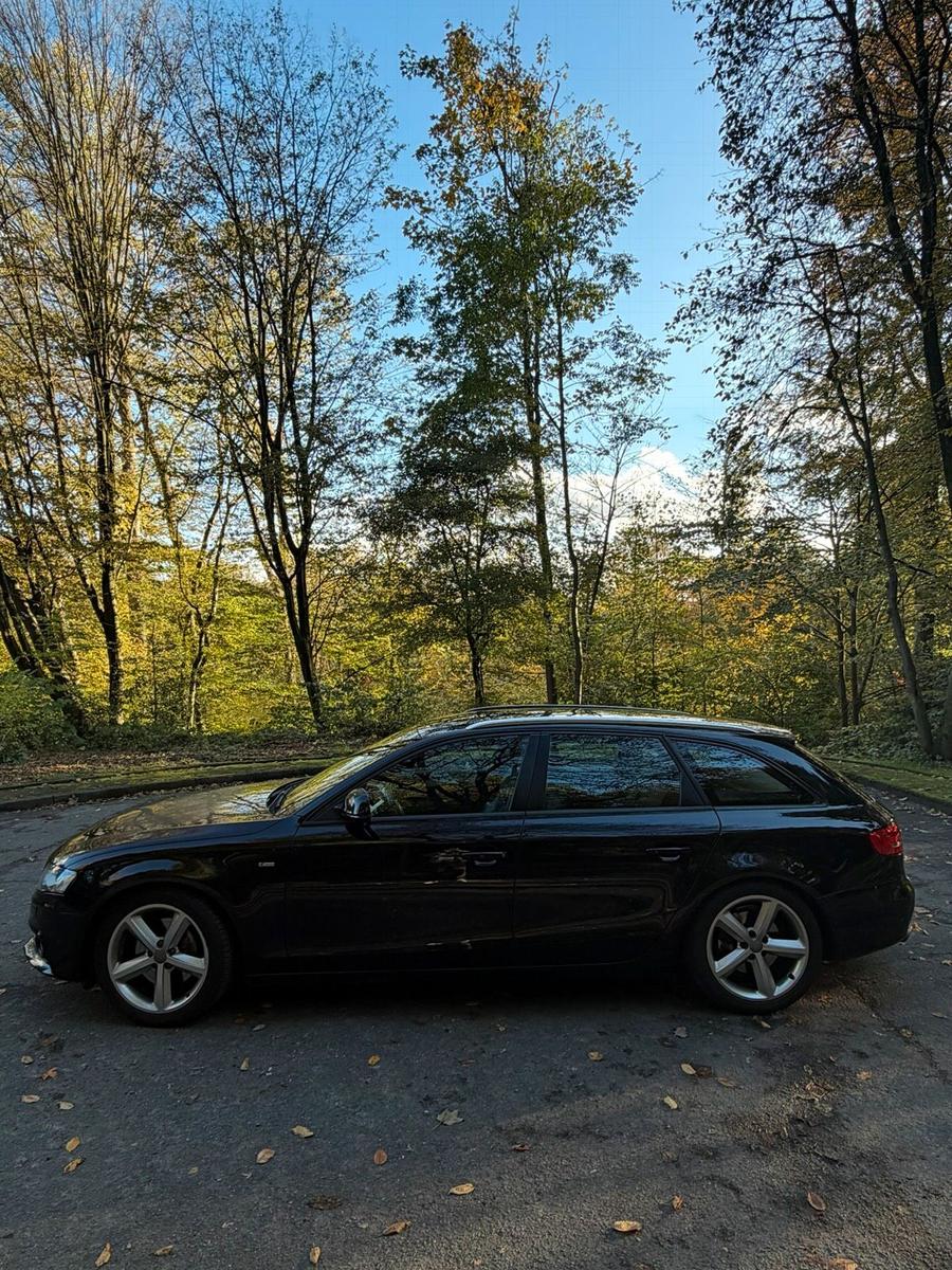 Audi A4 2008 — вигляд ззаду