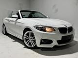 BMW 220 d M Sportpaket*Leder*Navi*2. Hand - BMW 220 in Hannover