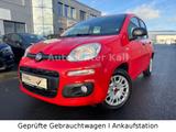 Fiat Panda Easy KLIMA 1.HAND S-HEFT GARANTIE - Fiat Panda: Rot