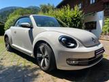 Volkswagen Cabrio Design 1.4 TSI *Xenon*Navi*SHZG*PDC* - Volkswagen Beetle: Weiß