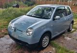 Volkswagen 3,6l /100km VW Lupo 3l Spardose Raumwunder - Volkswagen Lupo: 1.3