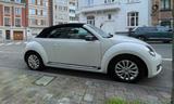 Volkswagen New Beetle Cabrio - super Zustand! - Volkswagen New Beetle: Automatik