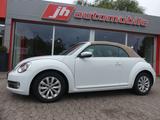 Volkswagen Beetle Cabriolet Design*Sitzhzg.*Leder*Klima*PDC - : Weiß, Cabrio