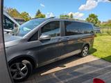 Mercedes-Benz V 250 d lang - - Mercedes-Benz V 250 d Gebrauchtwagen