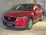 Mazda CX-5 Sports-Line G-165/AWD/6GS/Technik-P./Head-U - Mazda CX-5 in Kassel