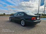BMW 530i A - voll Fahrbereit, Super Ausstattung  - BMW 530 aus 2000: 530i