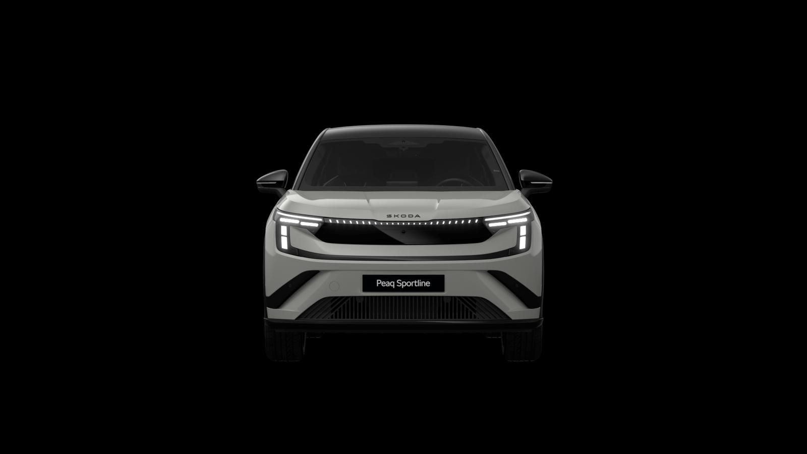 Skoda Andere - Bild 6