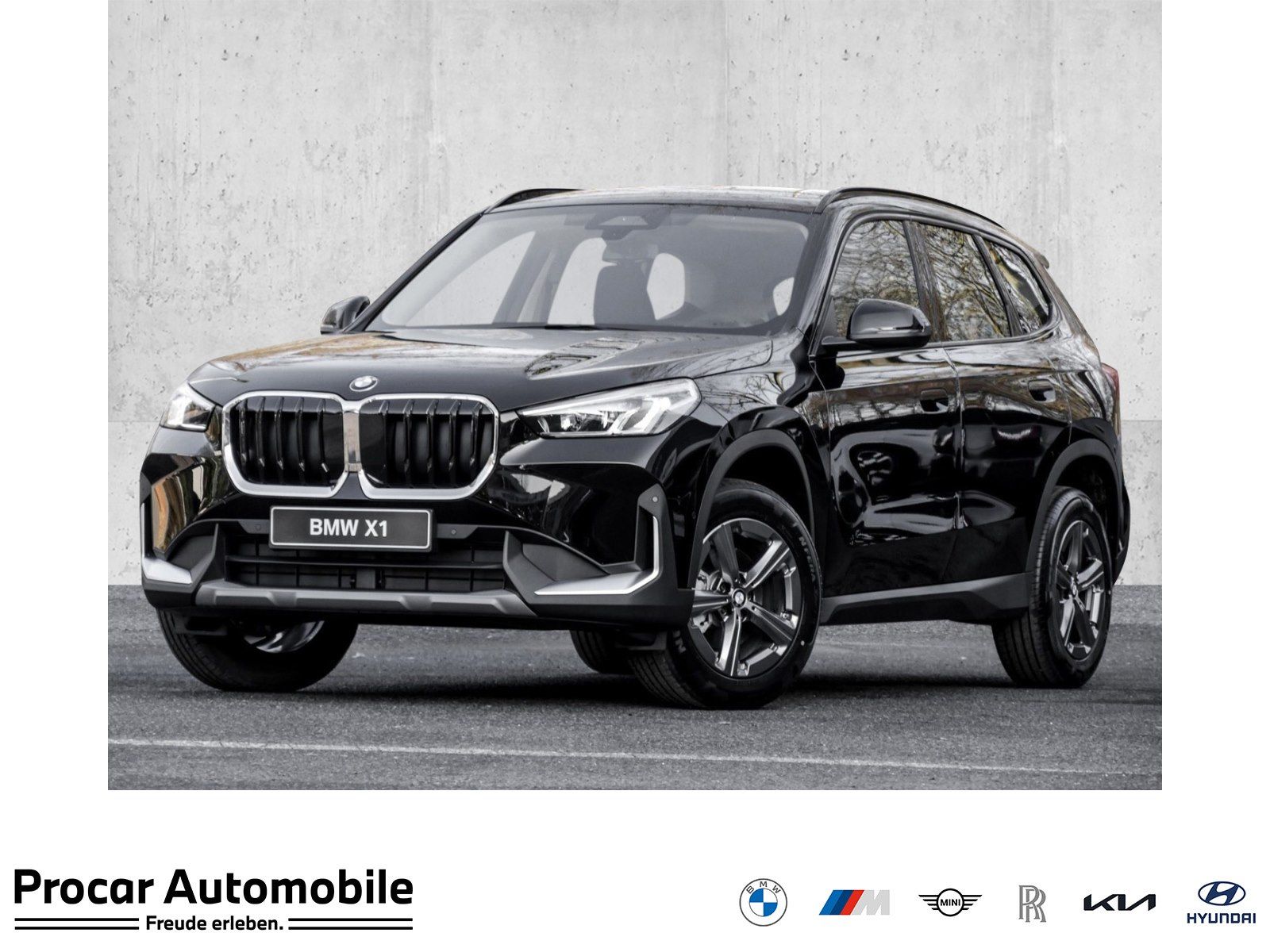 BMW X1 sDrive18i AHK RFK NAVI LED Sound Syst. DAB