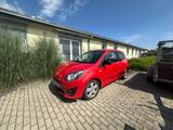 Renault Twingo Rip Curl 1.2 LEV 16V 75 Rip Curl - Renault Twingo aus 2011: Rip Curl