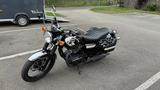 Kawasaki W800 - KAWASAKI BENZIN MOTORRAD W800