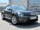 Volkswagen Beetle Cabriolet Allstar *Bi-Xenon*Leder*Kamera - Volkswagen Beetle: Leder