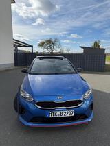 Kia pro_cee'd / ProCeed 1.6 T-GDI DCT GT GT - Kia Gebrauchtwagen in Mainz