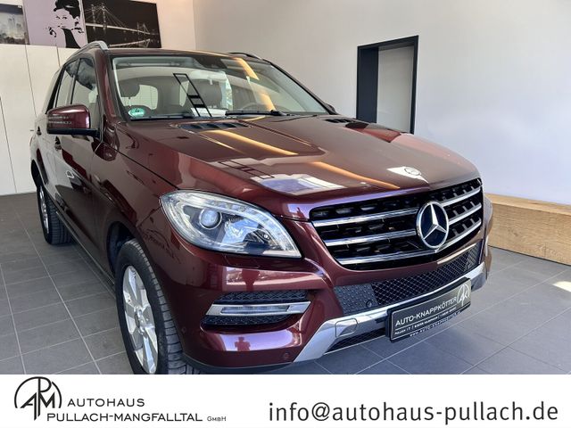 Mercedes-Benz ML 250 CDI DPF 4MATIC BlueTec Navi/AHK/EUR6