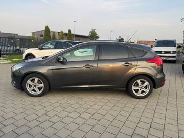 Ford Focus - 4