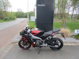 Aprilia RS 457 - Sofort verfügbar!!