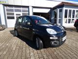 Fiat Panda 1.2 8V *Klima*Radio*Nebelsw*8xRäder* - Fiat Panda: Schwarz