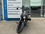 Indian Scout Rogue - INDIAN SCOUT ROGUE