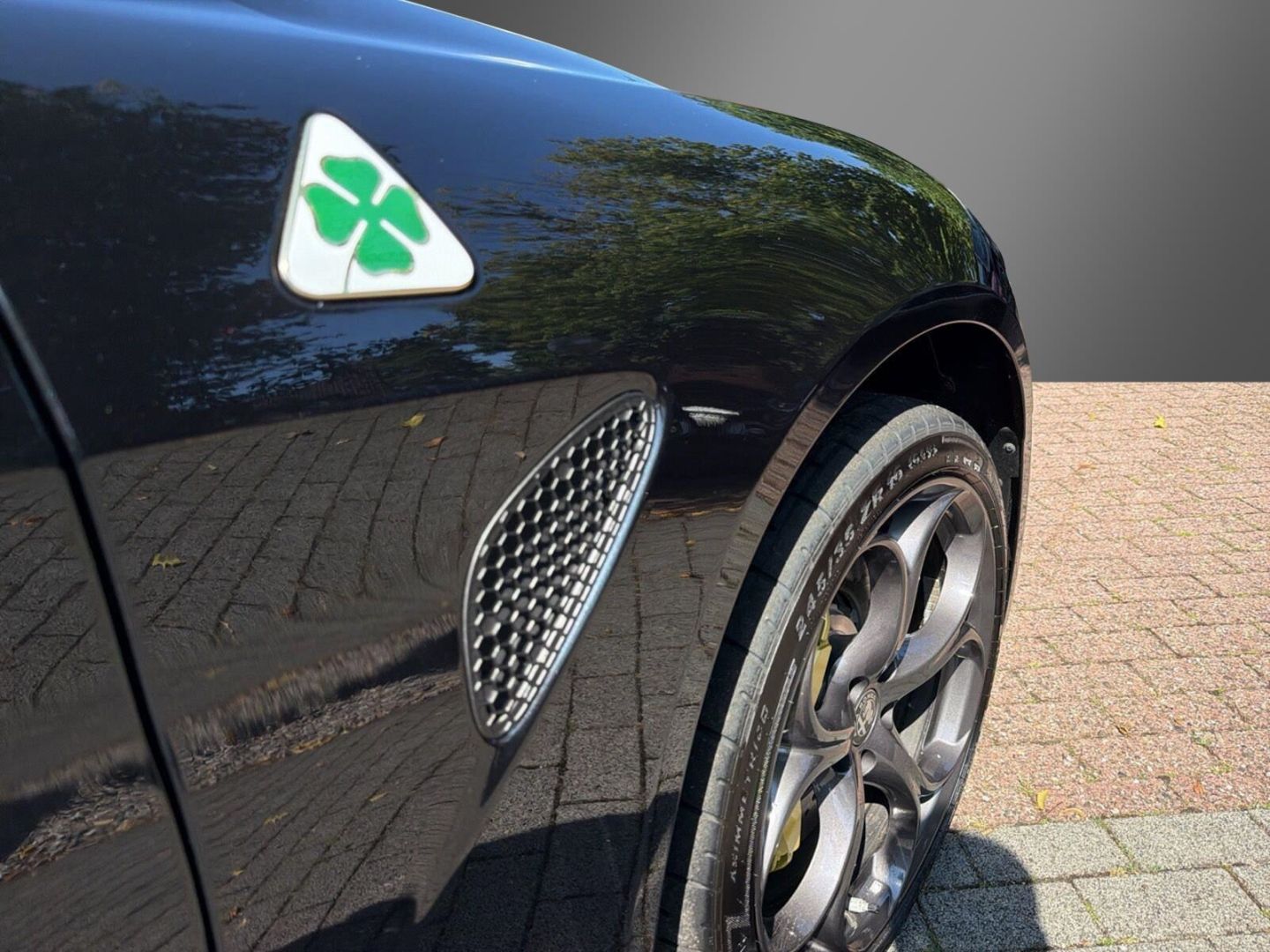 Fahrzeugabbildung Alfa Romeo Giulia Quadrifoglio Oro -Akrapovic-Carbon Dach-