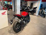 Honda CB1000 Hornet Grand Prix Red *sofort verfügbar* - HONDA S HORNET