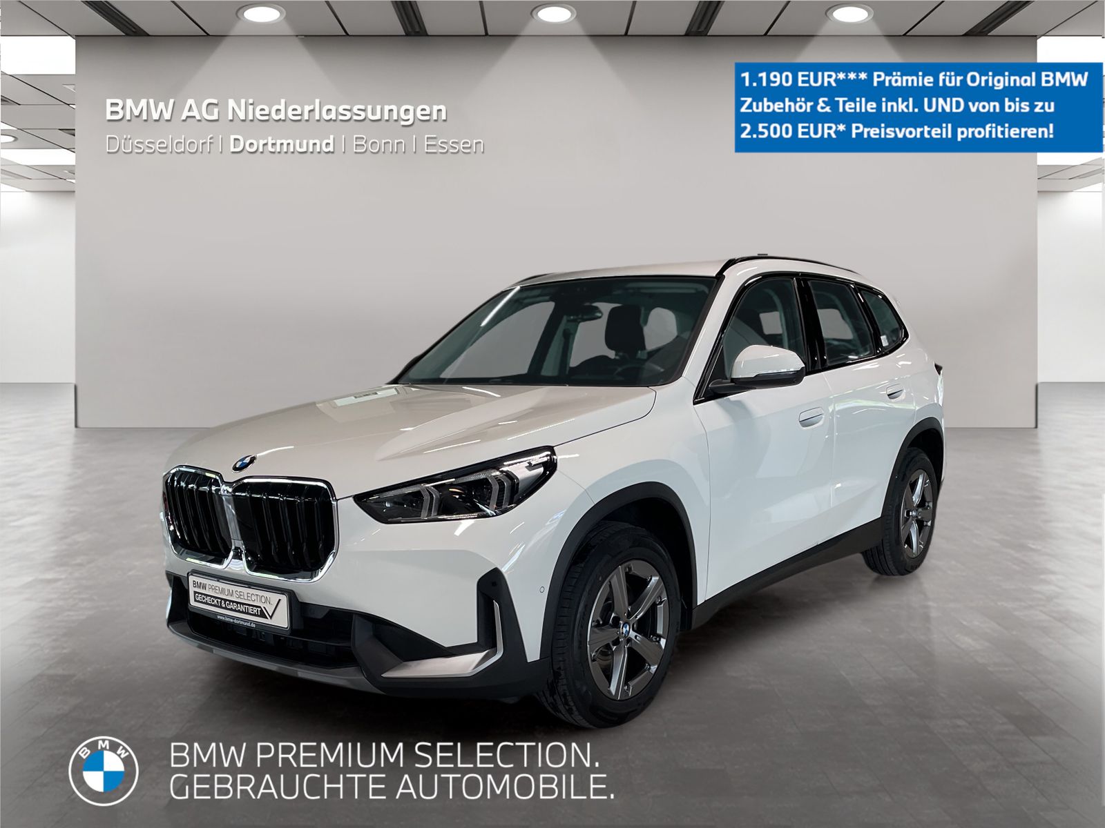 BMW X1 - Bild 1
