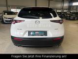 Mazda CX-30  ACC 150Ps Kamera Navi Tot Winkel SHZ BOSE - gebrauchte Mazda CX-30 aus dem Jahr 2021