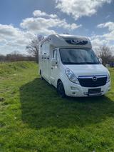 Opel Pferdetransporter STX Movano, Netto: 27.000,-€,  - Tier- & Pferdetransport für 2 Pferde